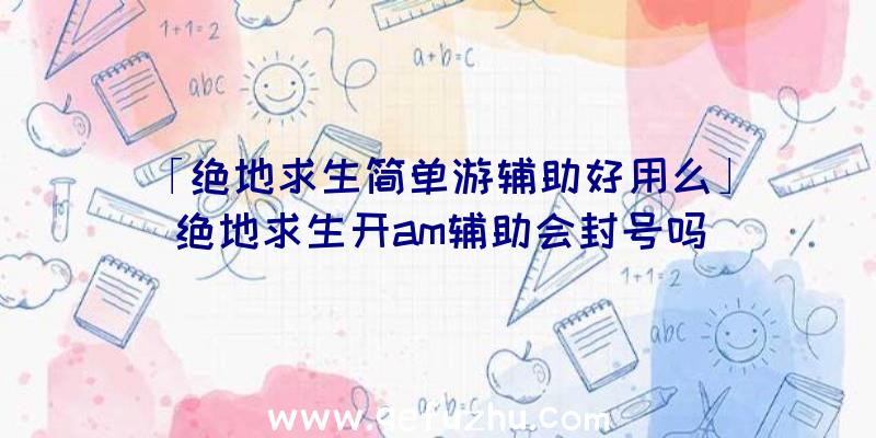 「绝地求生简单游辅助好用么」|绝地求生开am辅助会封号吗